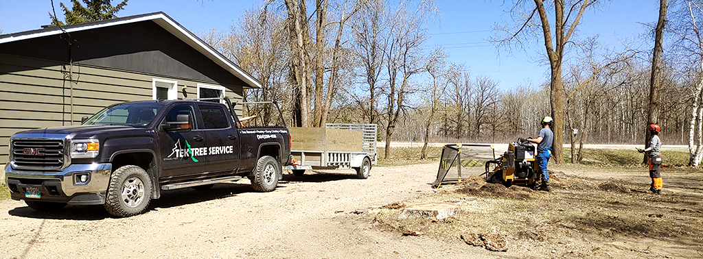 Winnipeg Tree Removal